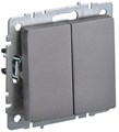 Выключатель 2-кл. СП BRITE ВС10-2-0-БрС 10А механизм сталь IEK BR-V20-0-10-K46 1617271 - фото 16744772
