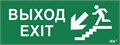 Этикетка самоклеящаяся "Выход/лестница вниз/фигура" ДПА IP20/54 IEK LPC10-1-24-09-VLVNF 1299893 - фото 16745506