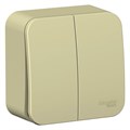 Выключатель 2-кл. ОП Blanca 10А IP20 (сх. 5) 250В с изолир. пластиной беж. SE BLNVA105017 520095 - фото 16745641
