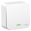 Переключатель проходной 1-кл. ОП Blanca 10А IP20 (сх. 6) 250В с подсветкой с изолир. пластиной бел. SE BLNVA106111 1210456 - фото 16745934