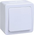 Выключатель 1-кл. ОП Гермес Plus 10А IP54 ВС20-1-0-ГПБ бел. IEK EVMP10-K01-10-54-EC 253128 - фото 16746688