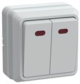 Выключатель 2-кл. ОП Октава 10А IP20 ВС20-2-1-ОБ с индикацией бел. IEK EVO21-K01-10-DC 245851 - фото 16746700