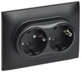 Розетка 2-м SKANDY 16А с заземл. защ. штроки в сборе SK-R07Bl черн. IEK SK-R24-16-K02-F 1835813 - фото 16747561