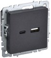Розетка BRITE USB A+C 18Вт РЮ11-1-БрЧ механизм черн. IEK BR-U22-018-K02 1679800 - фото 16748639