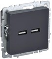Розетка BRITE USB A+A 3.1А РЮ10-1-БрГ механизм графит IEK BR-U21-D31-K53 1679781 - фото 16748649