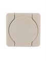 Розетка 1-м ОП Viola с заземл. с крышкой крем. LEZARD 751-0300-123 536593 - фото 16749444 Розетка 1-м ОП Viola с заземл. с крышкой крем. LEZARD 751-0300-123 536593 - фото 16749444