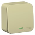 Выключатель 1-кл. ОП Blanca 10А IP20 (сх. 1) 250В с подсветкой с изолир. пластиной беж. SE BLNVA101117 520094 - фото 16749669