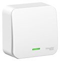Выключатель 1-кл. ОП Blanca 10А IP20 (сх. 1) 250В с подсветкой с изолир. пластиной бел. SE BLNVA101111 1210451 - фото 16749951