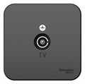 Розетка телевизионная TV ОП Blanca коннектор с изолир. пластиной антрацит SE BLNTA000016 1210649 - фото 16749972