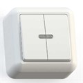 Выключатель 2-кл. ОП Оптима 10А IP20 А510-387 с индикацией с монтаж. пластиной бел. Кунцево 8004 371087 - фото 16750362