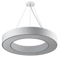 Светильник светодиодный Geometria Ring SPO-134-W-40K-056 56Вт 4000К 4200Лм IP40 800х80 бел. подвесной драйвер внутри ЭРА Б0058906 1773970 - фото 16756440