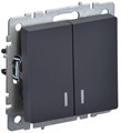 Выключатель 2-кл. СП BRITE ВС10-2-1-БрГ 10А с индик. механизм графит IEK BR-V20-1-10-K53 1623718 - фото 16756833