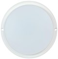 Светильник светодиодный ДПО 4001 8Вт 4000К IP54 круг бел. IEK LDPO0-4001-8-4000-K01 1230201 - фото 16757609