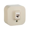 Розетка телефонная 1-м ОП Quteo RJ11 сл. кость Leg 782244 255261 - фото 16758775