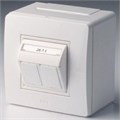Коробка PDD-N60 с 2 розетками Brava RJ45 кат.5E (телефон/компьютер) бел. DKC 10656 151653 - фото 16759017
