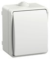 Выключатель проходной 1-кл. ОП Форс IP54 ВС20-1-0-ФБ бел. IEK EVS10-K01-10-54-DC 1900861 - фото 16760040