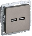 Розетка BRITE USB A+A 3.1А РЮ10-1-БрШ механизм шампань IEK BR-U21-D31-K37 1679763 - фото 16760743
