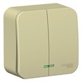 Выключатель 2-кл. ОП Blanca 10А IP20 (сх. 5) 250В с подсветкой с изолир. пластиной беж. SE BLNVA105117 520096 - фото 16761847