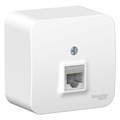 Розетка компьютерная 1-м ОП Blanca RJ45 кат.5E с изолир. пластиной бел. SE BLNIA045001 1210474 - фото 16766167