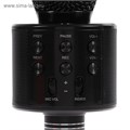 Микрофон для караоке LuazON LZZ-56, WS-858, 1800 мАч, чёрный 3916281 - фото 16779510