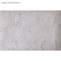 Фотофон двусторонний бумага 300 гр "Штукатурка" 57х87 см 4524669 - фото 16780639
