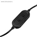 Компьютерные колонки 2.0 Qumo Rage AS005, 10 Вт, USB, чёрные 5296887 - фото 16782219