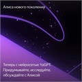 Умная колонка "Новая Яндекс Станция Мини", голосовой помощник Алиса,10Вт, с часами, черная 7790794 - фото 16785814