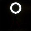 Кольцевая лампа, набор для съёмок видео 7533538 - фото 16787563