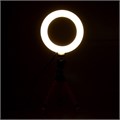 Кольцевая лампа, набор для съёмок видео 7533538 - фото 16787564