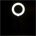Кольцевая лампа, набор для съёмок видео 7533539 - фото 16787577