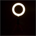 Кольцевая лампа, набор для съёмок видео 7533539 - фото 16787578