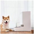 Умная кормушка для домашних животных Xiaomi Smart Pet Food Feeder (BHR6143EU), 3.6 л, Wi-Fi 9418644 - фото 16788390