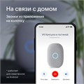 Умная колонка VK Капсула (MRC01WH), голосовой помощник Маруся, 30 Вт,Wi-Fi,BT 5.0, белая 9591933 - фото 16789831