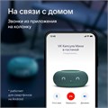 Умная колонка VK Капсула  мини (MRC02SG), голосовой помощник Маруся,5Вт,Wi-Fi, BT4.2,зеленая 9591937 - фото 16789848