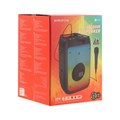 Портативная колонка Borofone BP10, 3600 мАч,BT5.0,20 Вт,TWS,TF card,USB,AUX,FM-радио, чёрная 9603969 - фото 16792607
