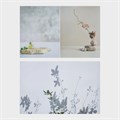 Фотофон двусторонний бумага 300 гр "Изящные растения" 57х87 см 9928065 - фото 16793183