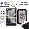 Зарядное устройство «Energy», 5000мА, мод. PB-04, 10,4 х 6,4 см 10203983 - фото 16798370