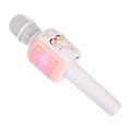 Портативный караоке микрофон, 5 Вт, 1200 мАч, LED, розово-белый 10325642 - фото 16801250