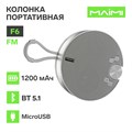 Портативная колонка Maimi F6, microUSB, FM, BT 5.1, 1200 мАч, серебристая 10401573 - фото 16803016