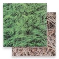 Фотофон двусторонний картон плотность 350 гр "Сено и трава" 50х50 см 10174839 - фото 16806702