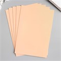 Фоамиран "Персик" 2 мм (набор 5 листов) формат А4 МИКС 1205072 - фото 16856375