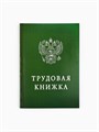 Ежедневник "Трудовая книжка", А5, 80 листов 1814778 - фото 16859285