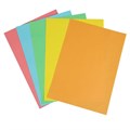 Бумага цветная А4, 50 листов Calligrata Интенсив, 5 цветов, 80 г/м² 1306795 - фото 16860992
