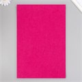 Фетр жесткий 1 мм "Фуксия" набор 10 листов формат А4 2277711 - фото 16863321 Фетр жесткий 1 мм "Фуксия" набор 10 листов формат А4 2277711 - фото 16863321