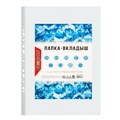 Файл-вкладыш А3, 30 мкм, Calligrata, глянцевый, вертикальный, 50 штук 3258536 - фото 16865986