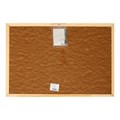 Доска пробковая А3, 30х45 см, Calligrata, в деревянной раме 3413876 - фото 16866031