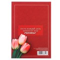 Ежедневник учителя «Учителю с благодарностью», формат А5, твёрдая обложка картон 7БЦ, 160 листов 3468344 - фото 16866973