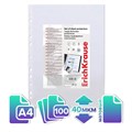 Файл-вкладыш А4, 40 мкм, ErichKrause Standard Plus, тиснение, вертикальный, 100 штук 4051870 - фото 16869262