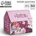 Планер - шкатулка «Золотому учителю», 50 листов, 16х15х12 см 4145089 - фото 16871255