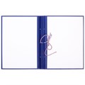 Папка для дипломных работ (Без надписи), бумвинил, гребешки/сутаж, без бумаги, цвет синий (вместимость до 300 листов) 4378340 - фото 16872181